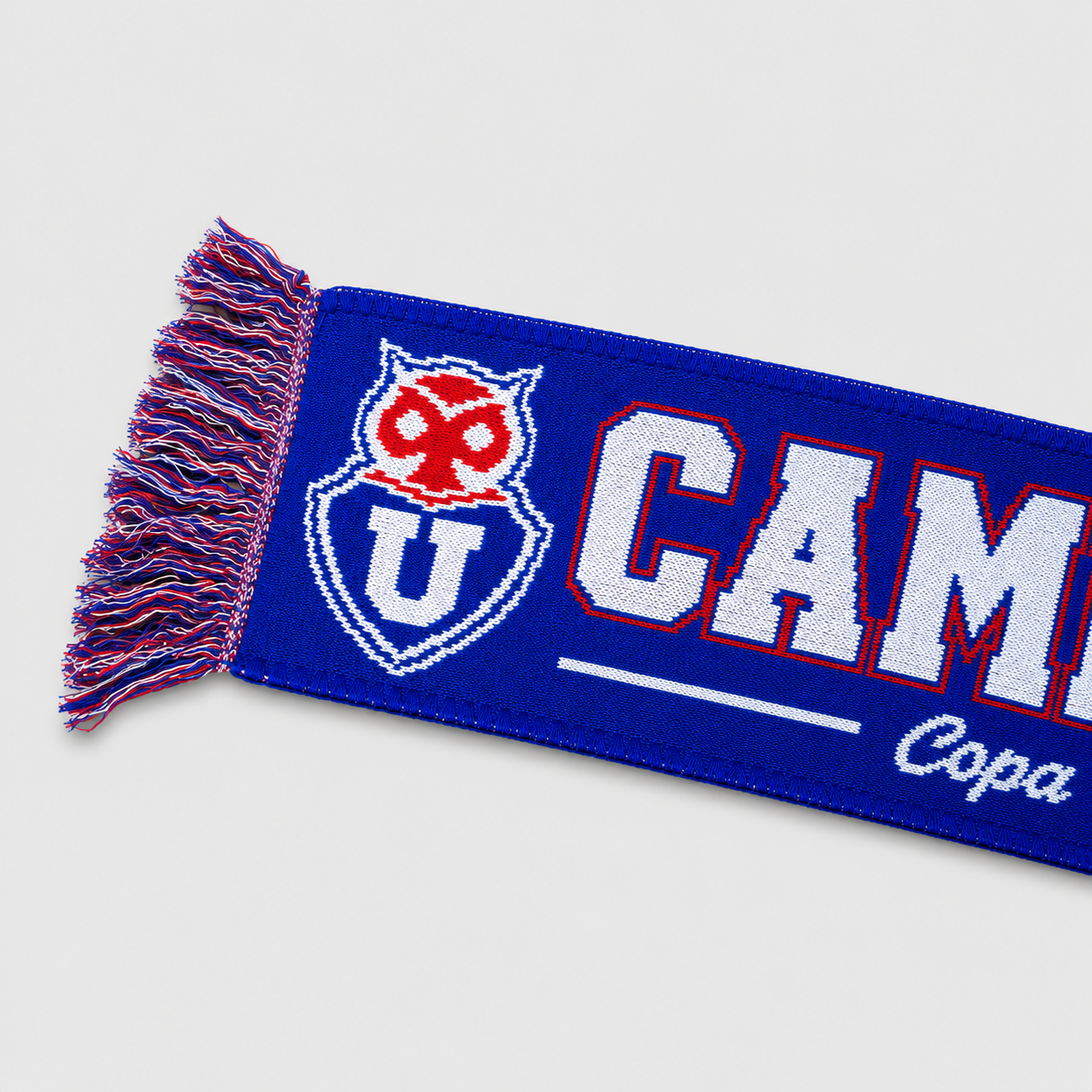 Campeón Invicto
